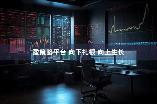 盈策略平台 向下扎根 向上生长